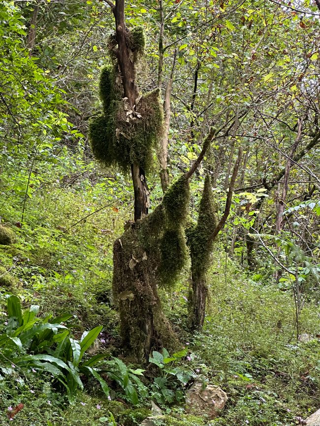 La ricompensa: Cascata di Oniore