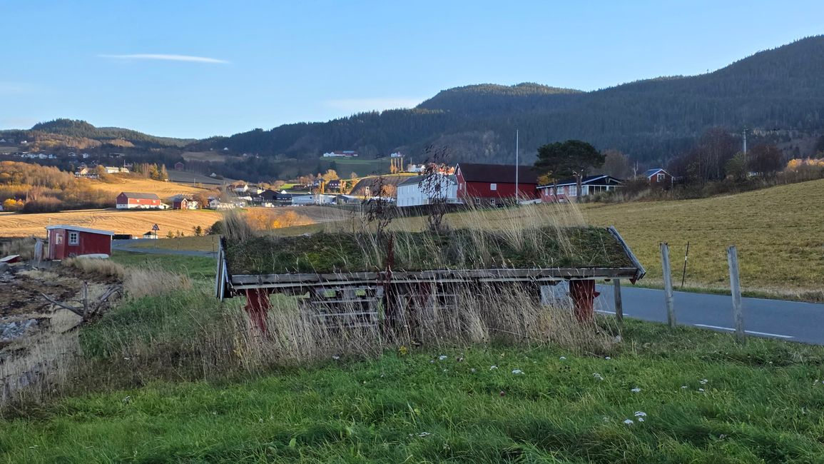 Trondheim 23-30.Oktober 2025/29.Oktober