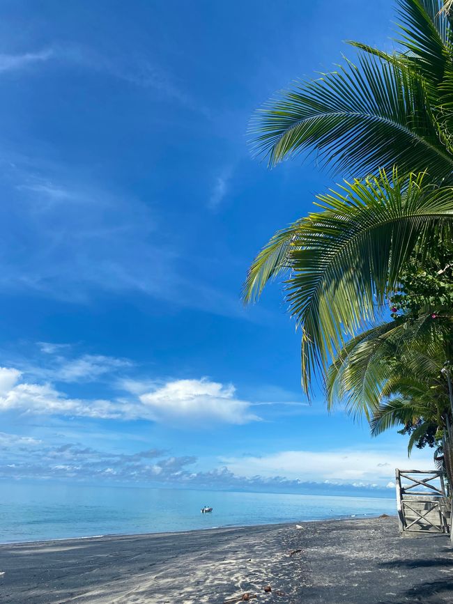 Panama 🇵🇦 🌴