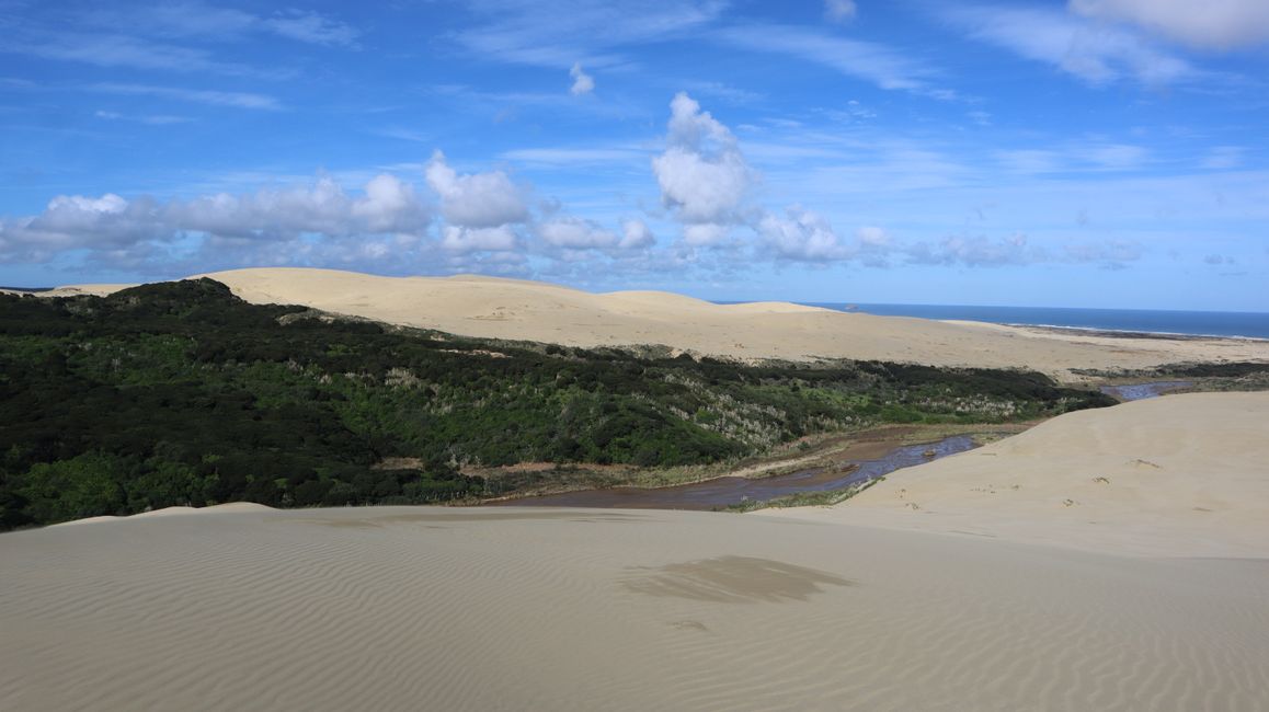 Te Paki Giant Sand Dunes