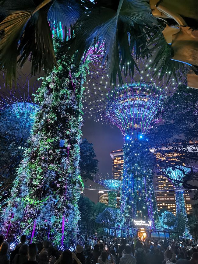 Abschiednehmen von Bali und Weiterreise sowie erster Tag in Singapur