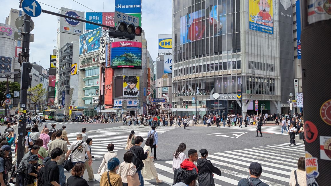 Sightseeing in Shibuya und Shinjuku