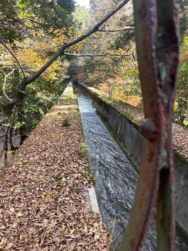 Rivière