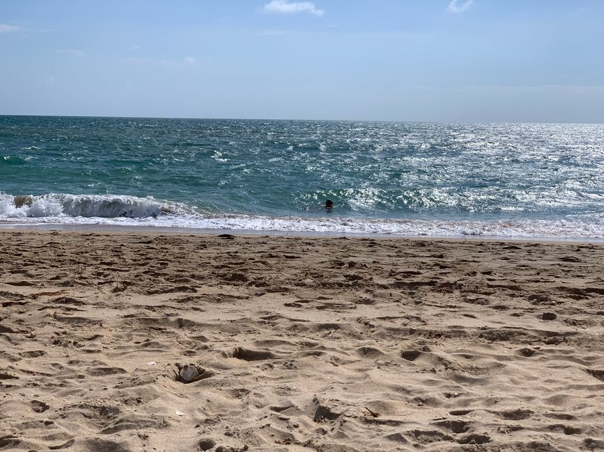 Und wieder Spanien