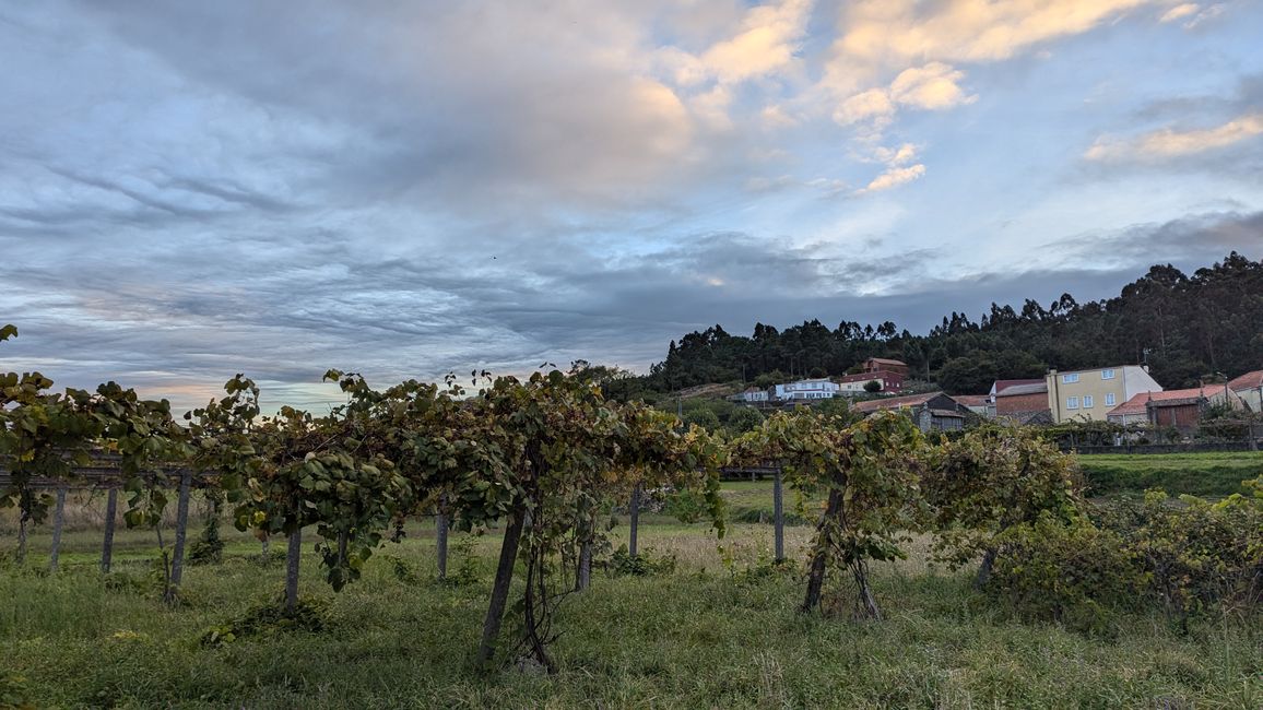 Thirteenth stage on the Camino Portugues from Padron to Santiago de Compostela