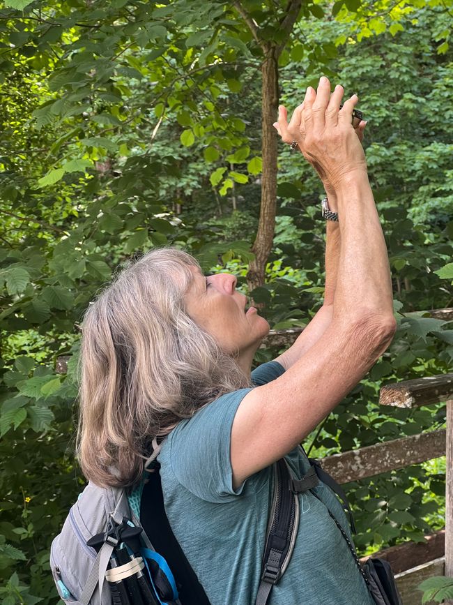 28 Wutachschlucht Pro Wolermoos