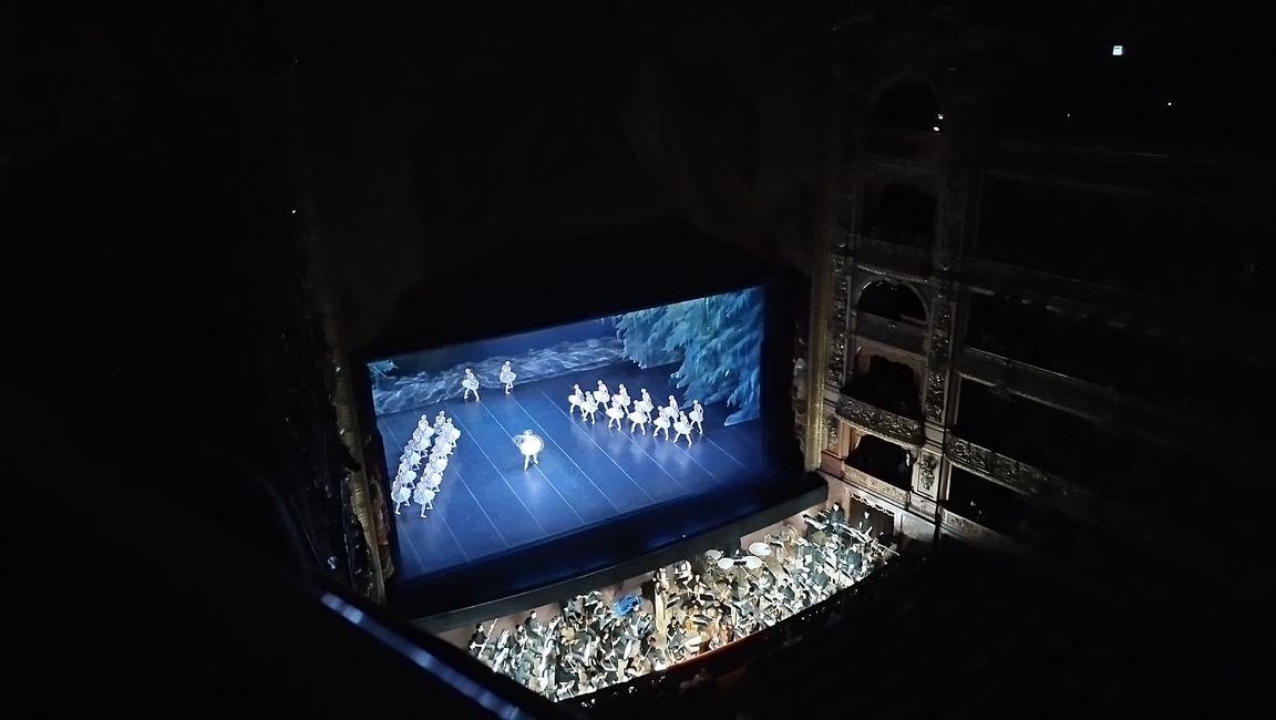 Teatro Colon - El lago de los cisnes