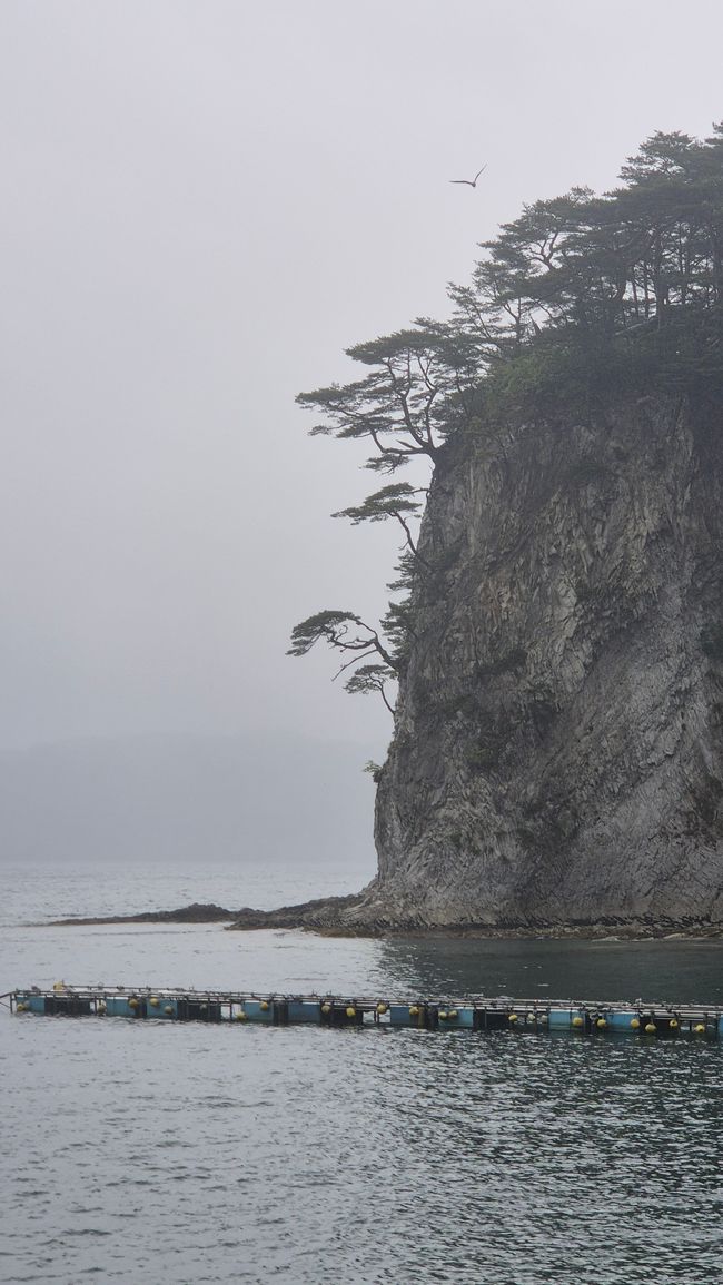 Tohoku-Roadtrip