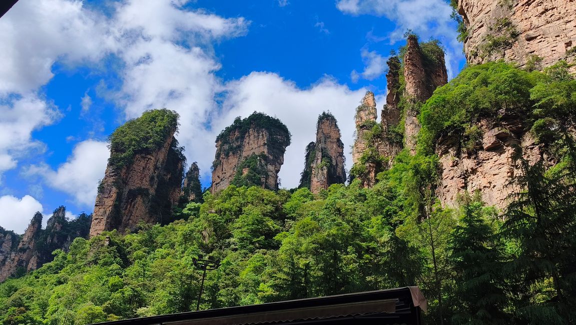 22. Mai.  Naturpark Zhangjiajie