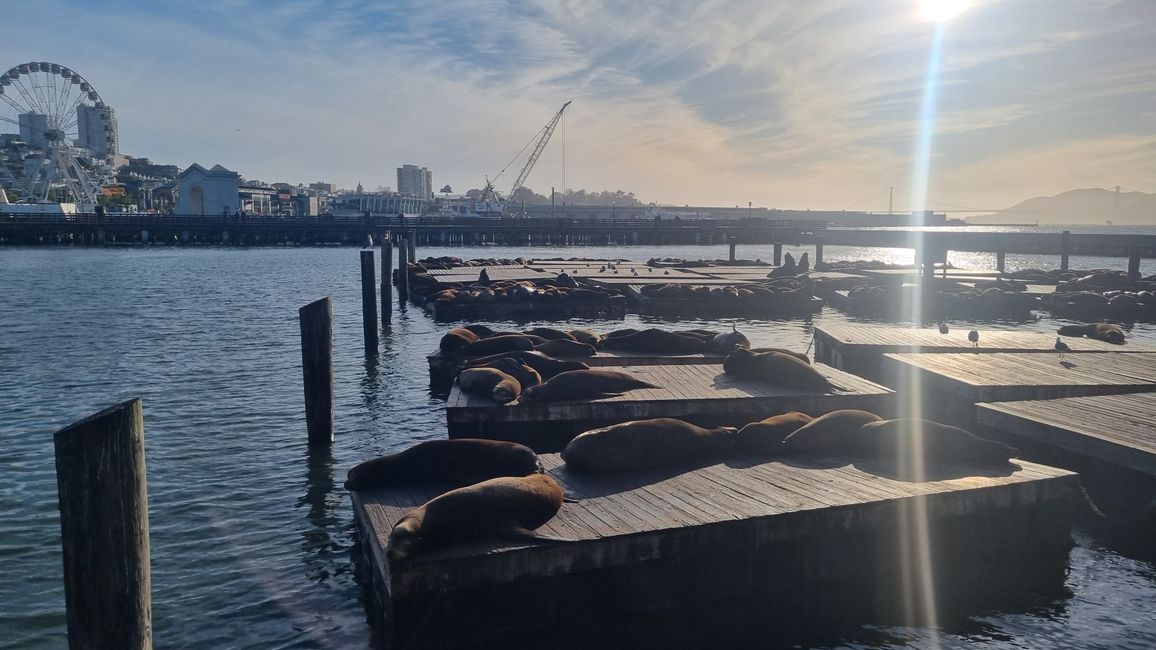 USA West Coast Roadtrip - Tag 7