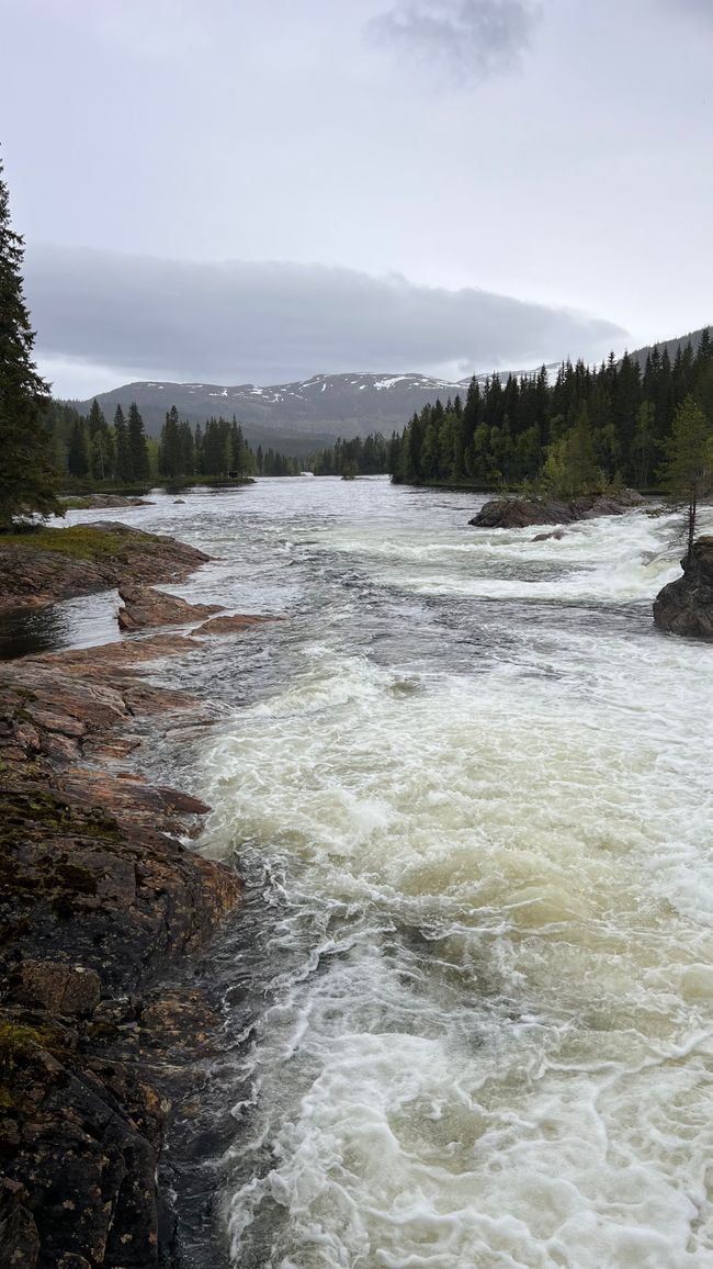 Südnorwegen hat mich in seinen Bann gezogen