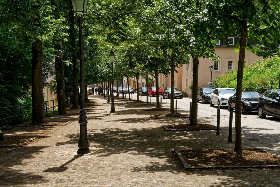 Lussemburgo