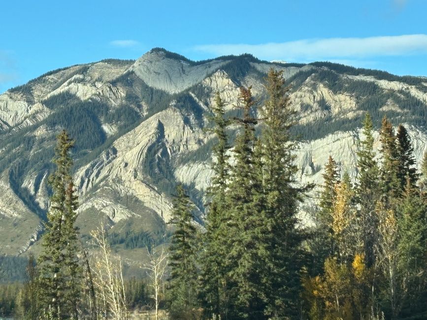 Tag 12 - 🏔️ Wasserfälle, Wetterkapriolen & Wellness – ein (fast) perfekter Tag in Jasper
