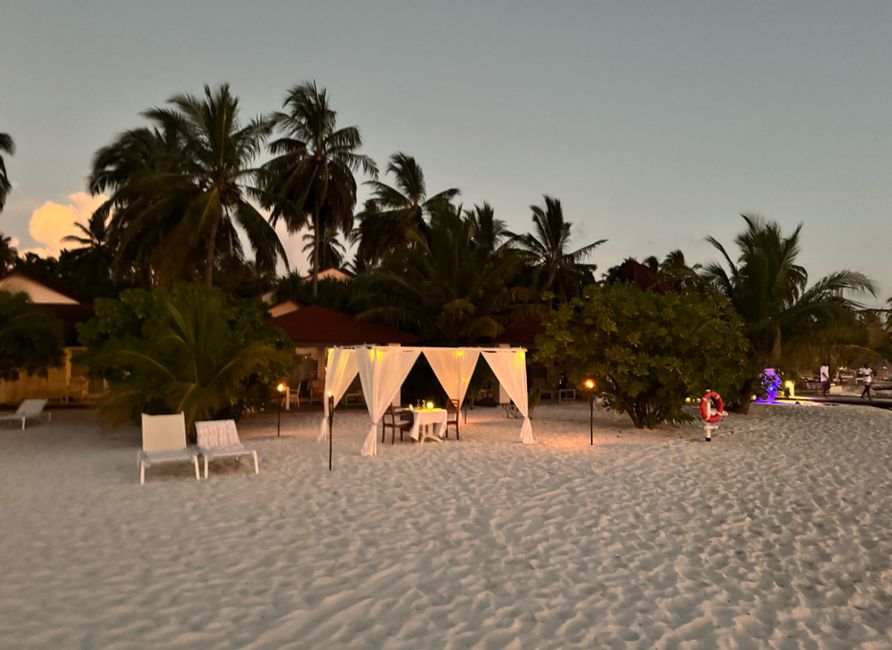 10 Días en Thundufushi - Un Viaje a Través de Aguas Azules, Jardines de Coral y Momentos de Quietud