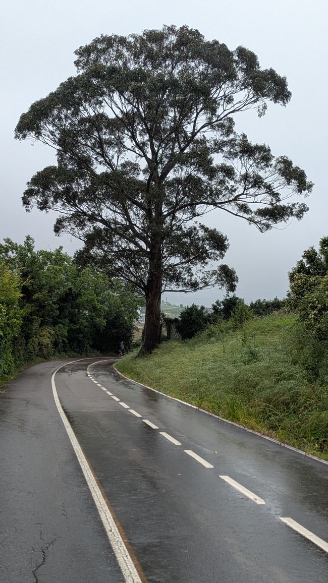 2. Etapa Camino del Norte - de Getxo a Castro Urdiales