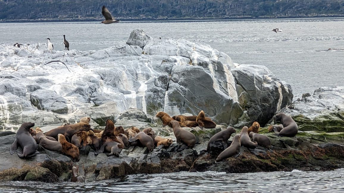 Beagle Channel Navigation mit Patagonia Adventure Explorer