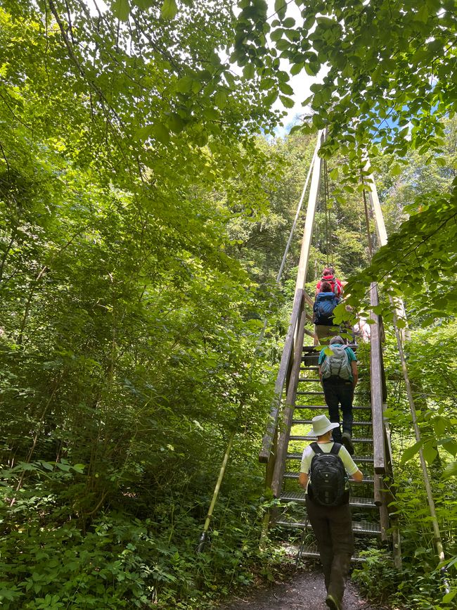 28 Wutachschlucht Pro Wolermoos