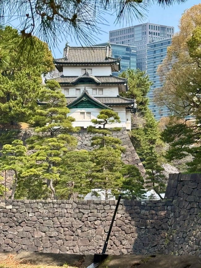 Parte 7
BENVENUTO IN GIAPPONE 🇯🇵
TOKYO