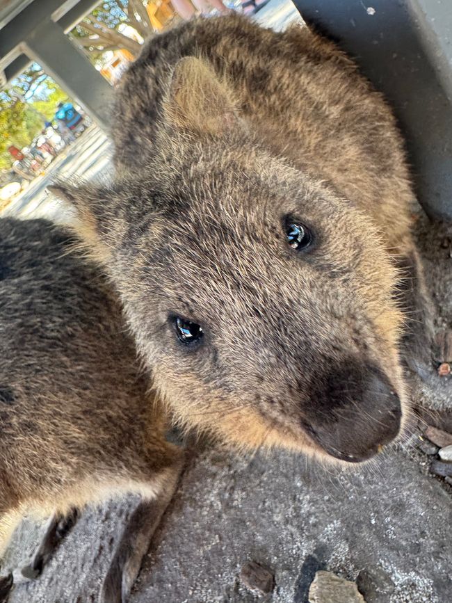 Western Australia