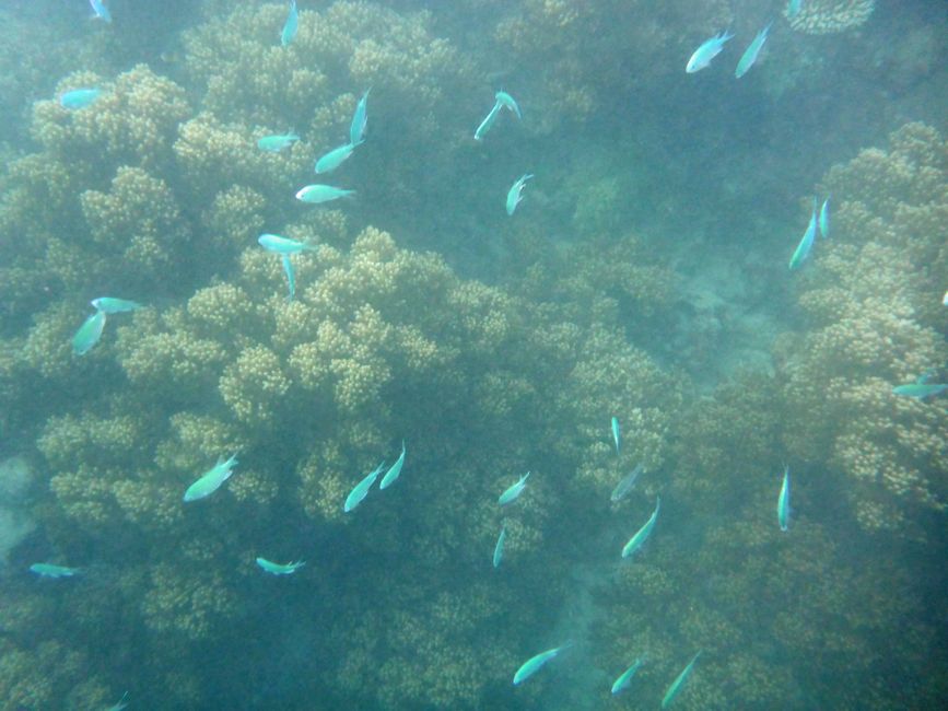 Yasawa-Inseln, Fidschi