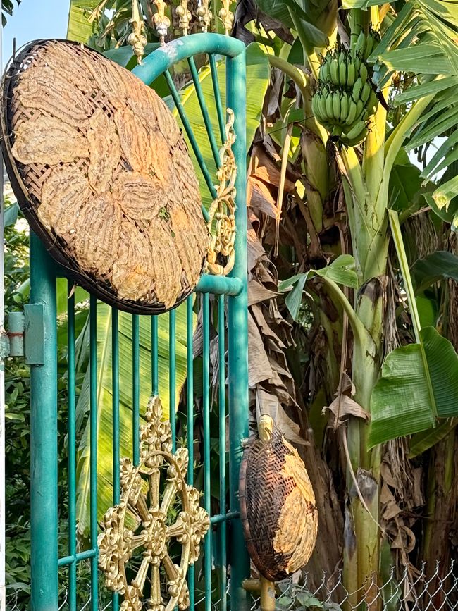 Bunch of bananas