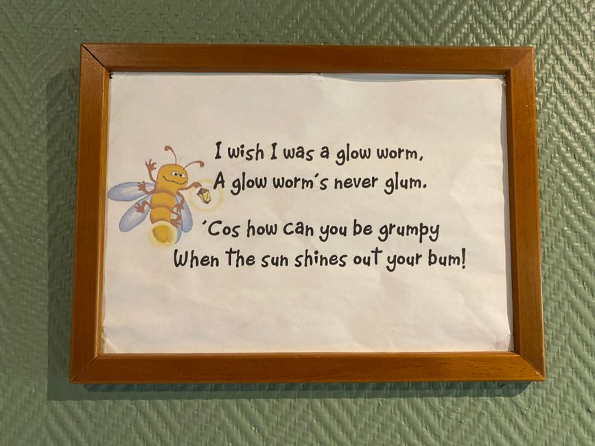 Among the glowing glowworms