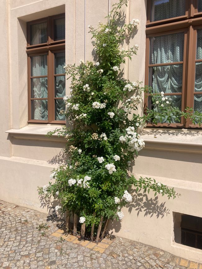 Caryatids and a very personal tour at
"Gut Boltenhof"
in Brandenburg