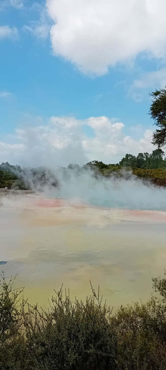 Wai-O-Tapu / Rotorua