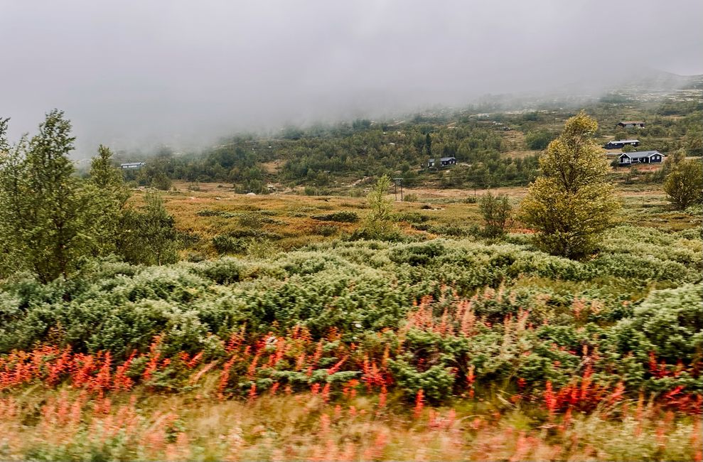 Reisetag - Regen, Nebel, Altbekanntes