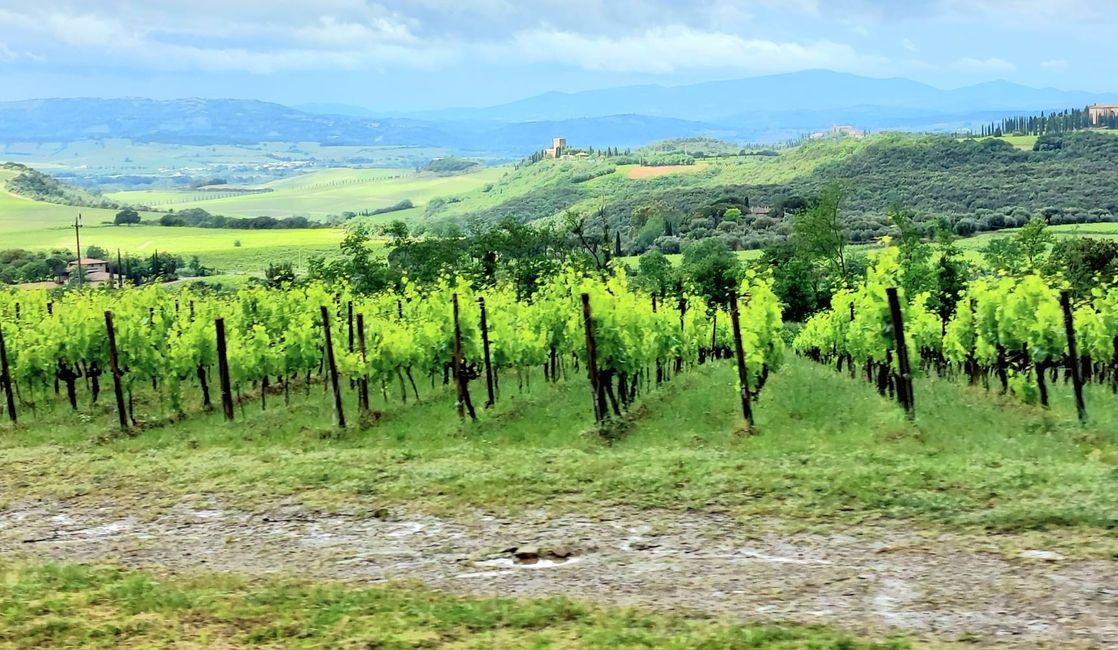 Tour de la Toscana 2026