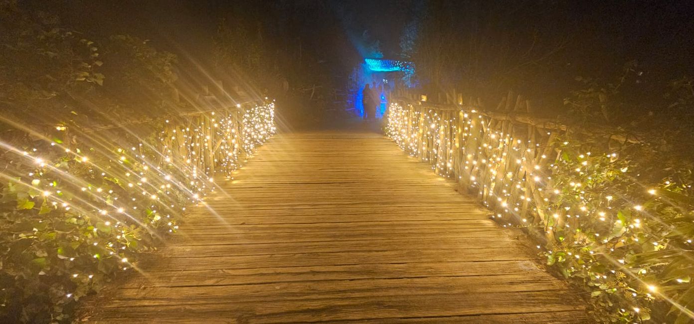 Giardino di Natale allo Zoo di Hannover