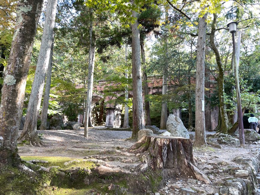 8. Chapter:
Blessed sitting through Kyoto