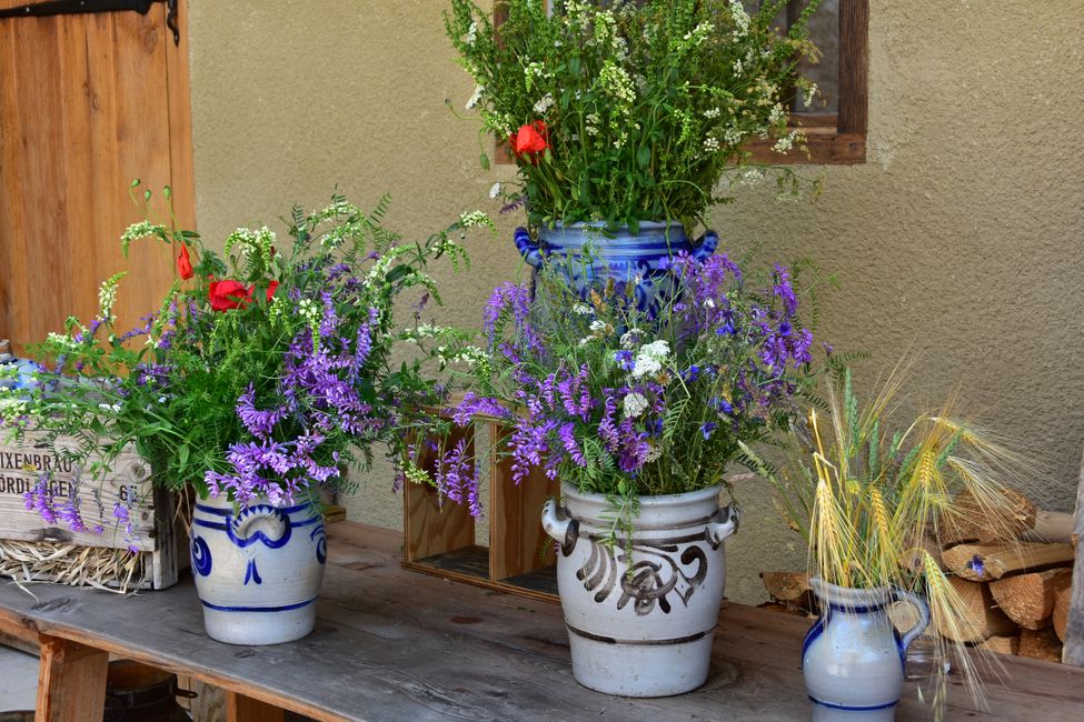 * * * S E C H T A S A F A R I - der Auerochsenweg
bei Bopfingen * * *