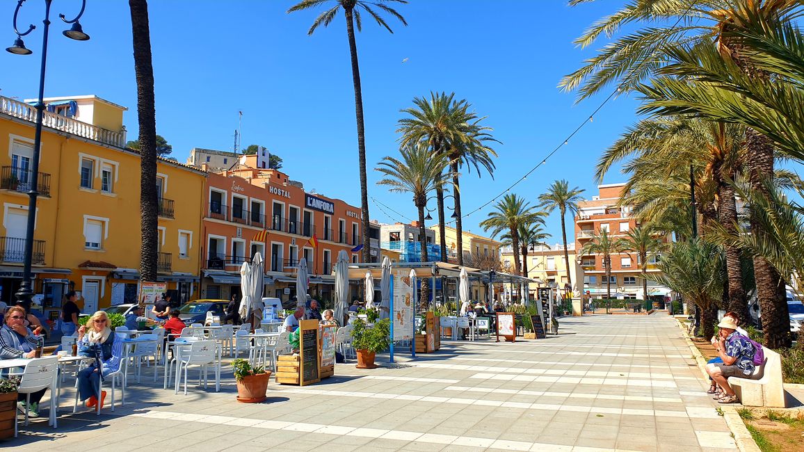 Alicante?...no grazie 609