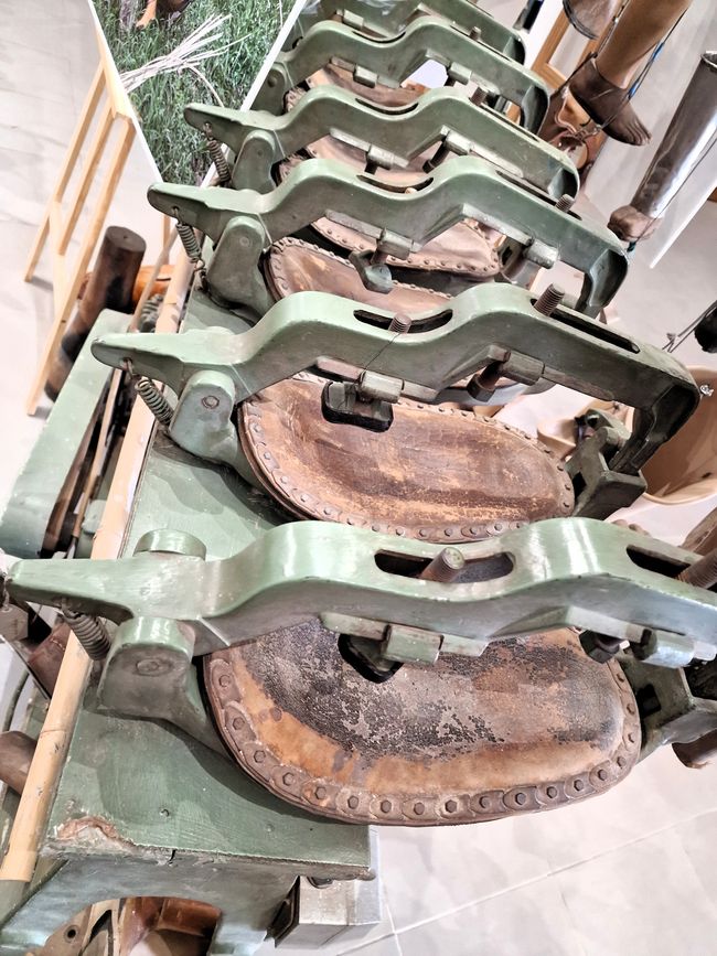 COPE - Cooperative Orthotic and Prosthetic Enterprise and our search for Laotian identity?
