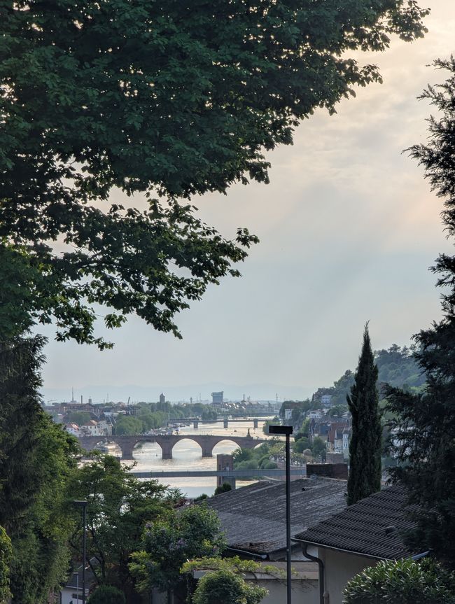 Heidelberg