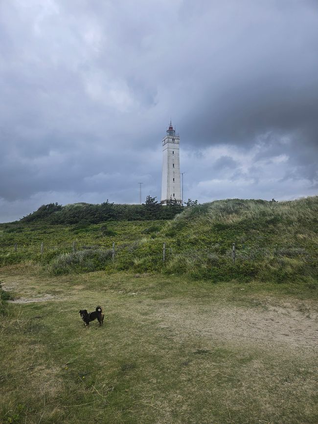 Blåvand ● Blåvandshuk Fyr