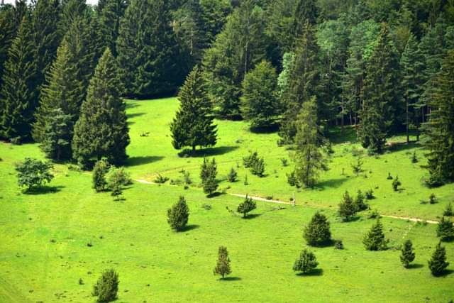 * * * Hayedo de enebro y cara de roca: una caminata en la belleza salvaje del Lochenpass * * *