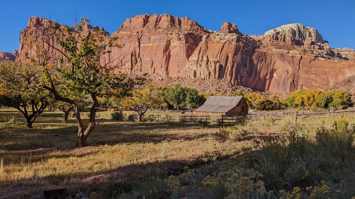 fruita