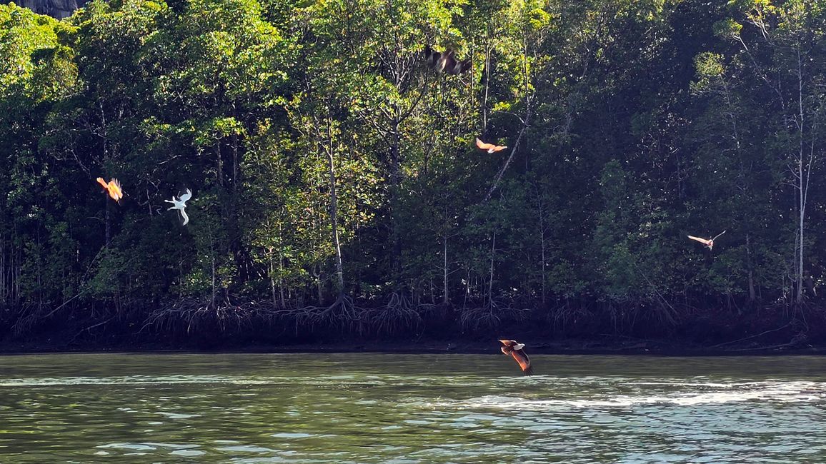 Langkawi - Reif für die Insel!