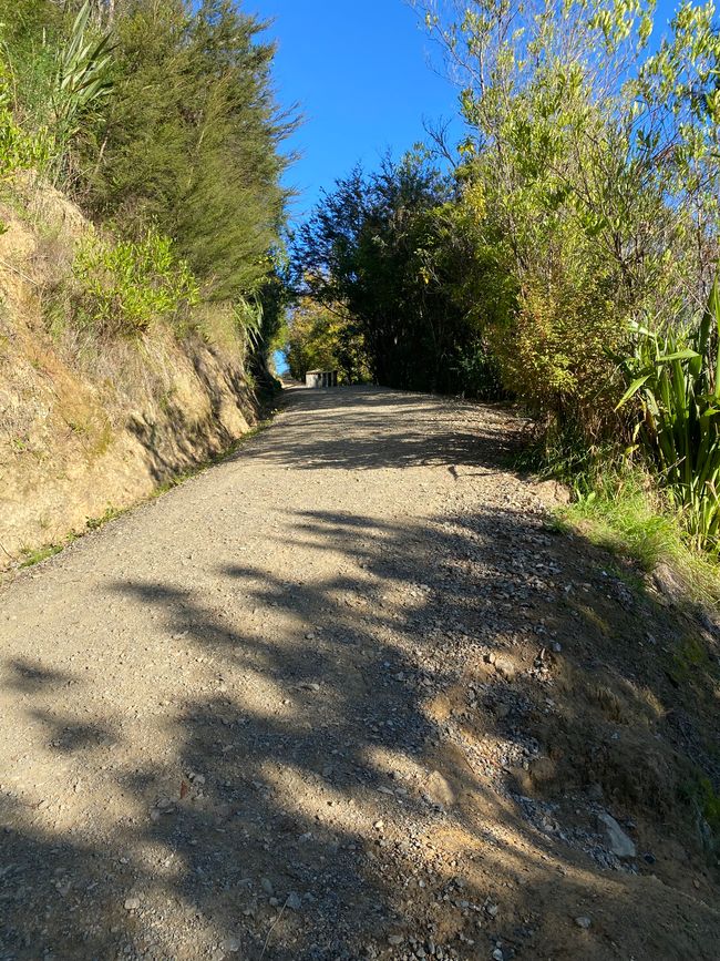 Nelson, Queen Charlotte drive, Picton, Kaikoura, Blenheim