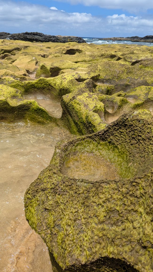 Tag 3: Porto Santo - Geheime Höhlen & bizzare Felsen am Meer