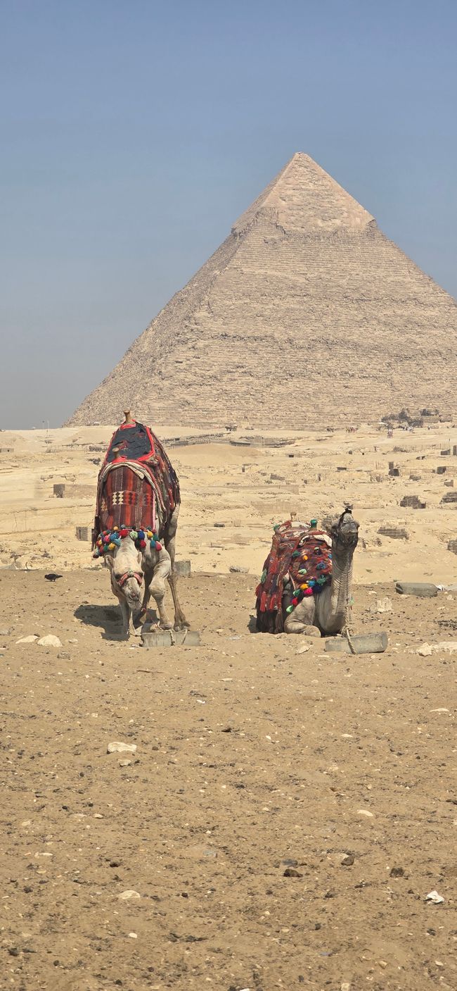 Zwischen Urlaub und Nebenwirkungen- Ägypten hautnah