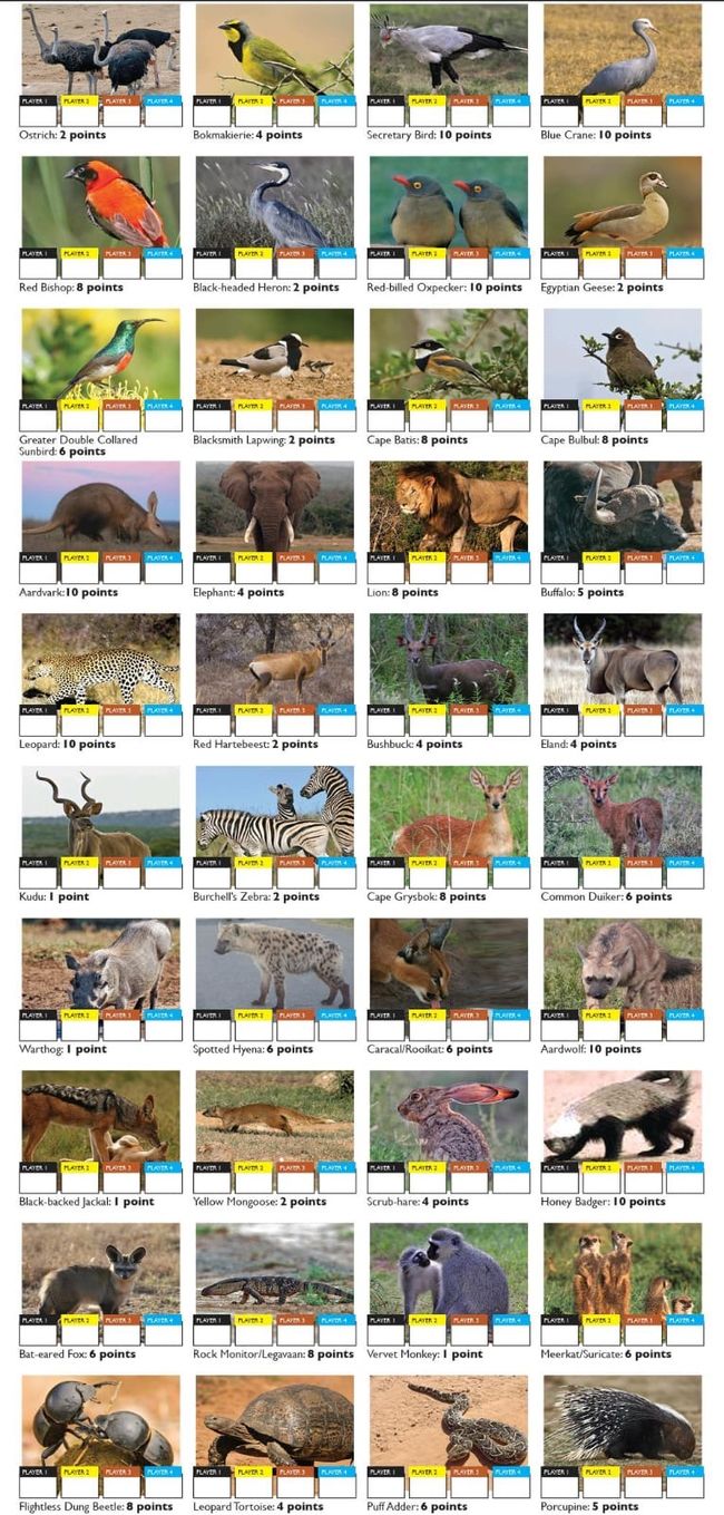 Addo Nationalpark