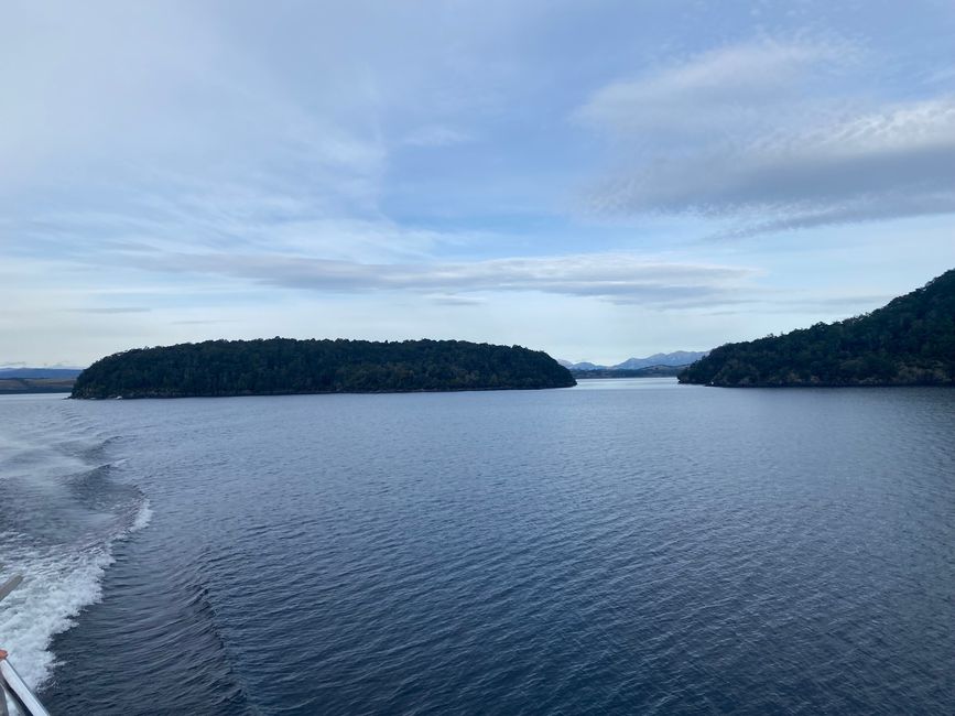 Among the glowing glowworms