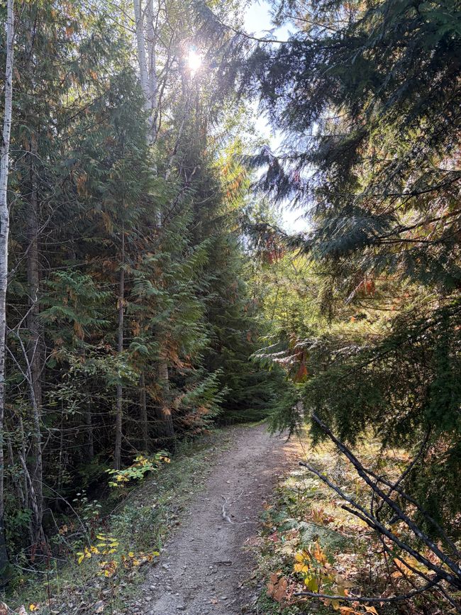 Kanada 7/21 - Revelstoke