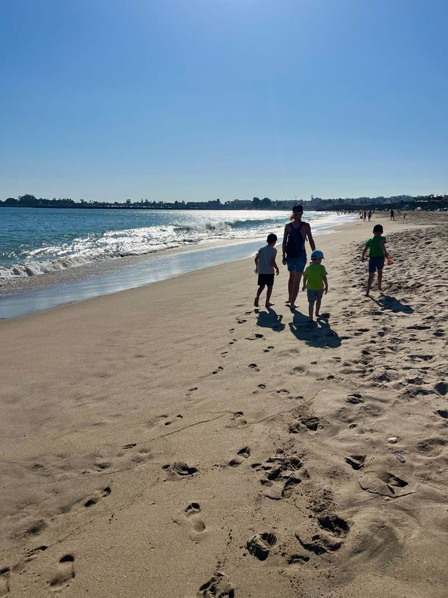 Santa Cruz Beach