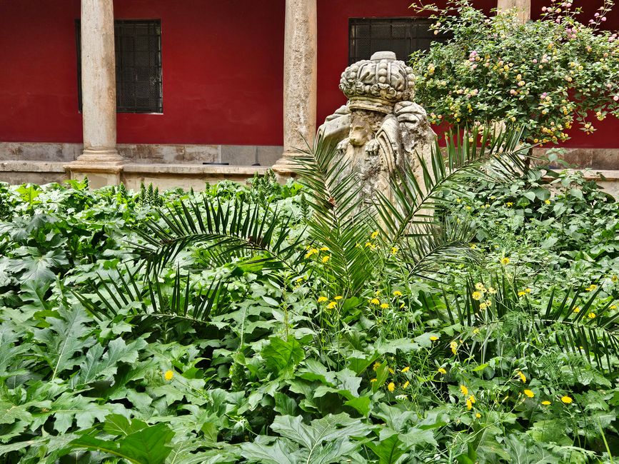 Centre del Carme