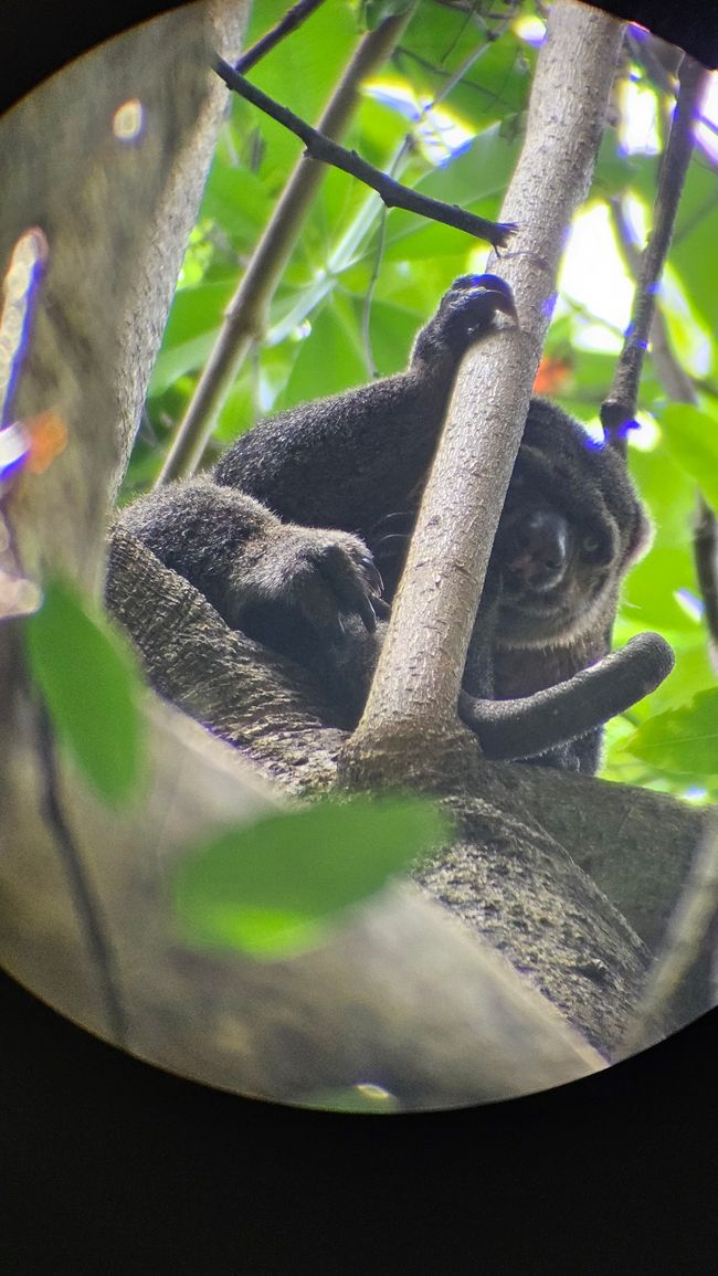 Parque Nacional Tangkoko