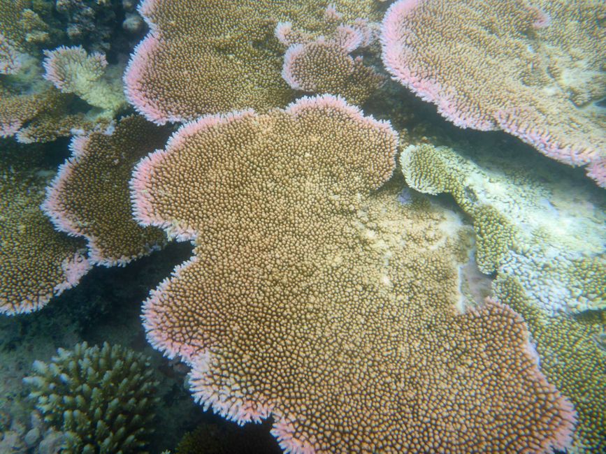 Yasawa-Inseln, Fidschi